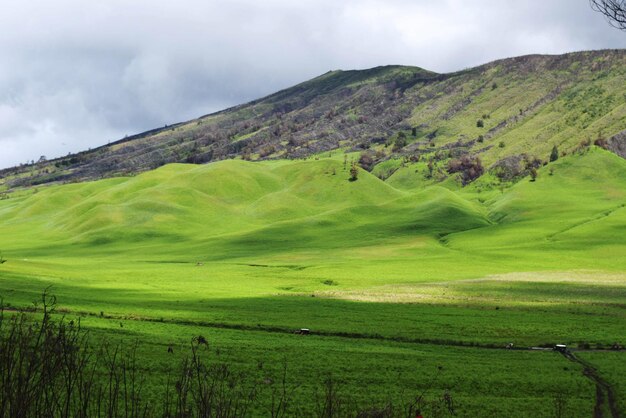 Bukit Teletubis Bromo